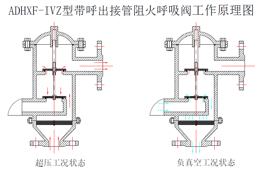 圖片 24.png